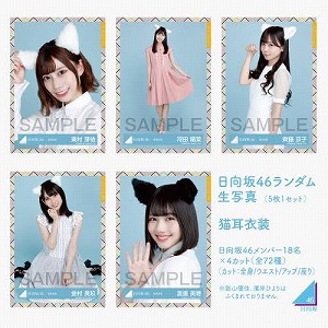 日向坂46 生写真「猫耳衣装」レート表