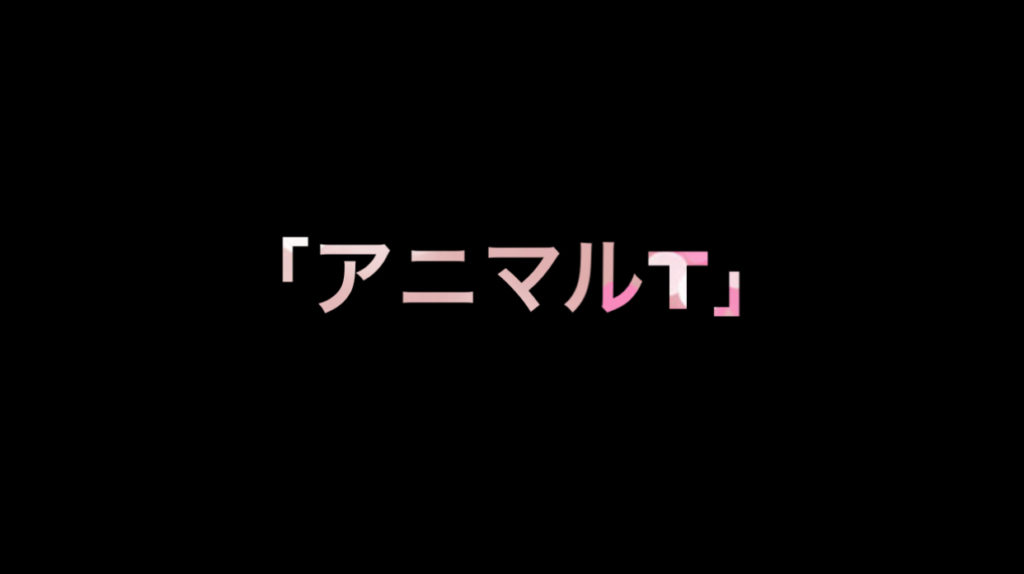乃木坂46 生写真「アニマルT」レート表