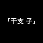 乃木坂46 生写真「干支 子」レート表