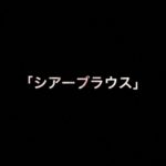 乃木坂46 生写真「シアーブラウス」レート表