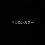 乃木坂46 生写真「マカロンカラー」レート表